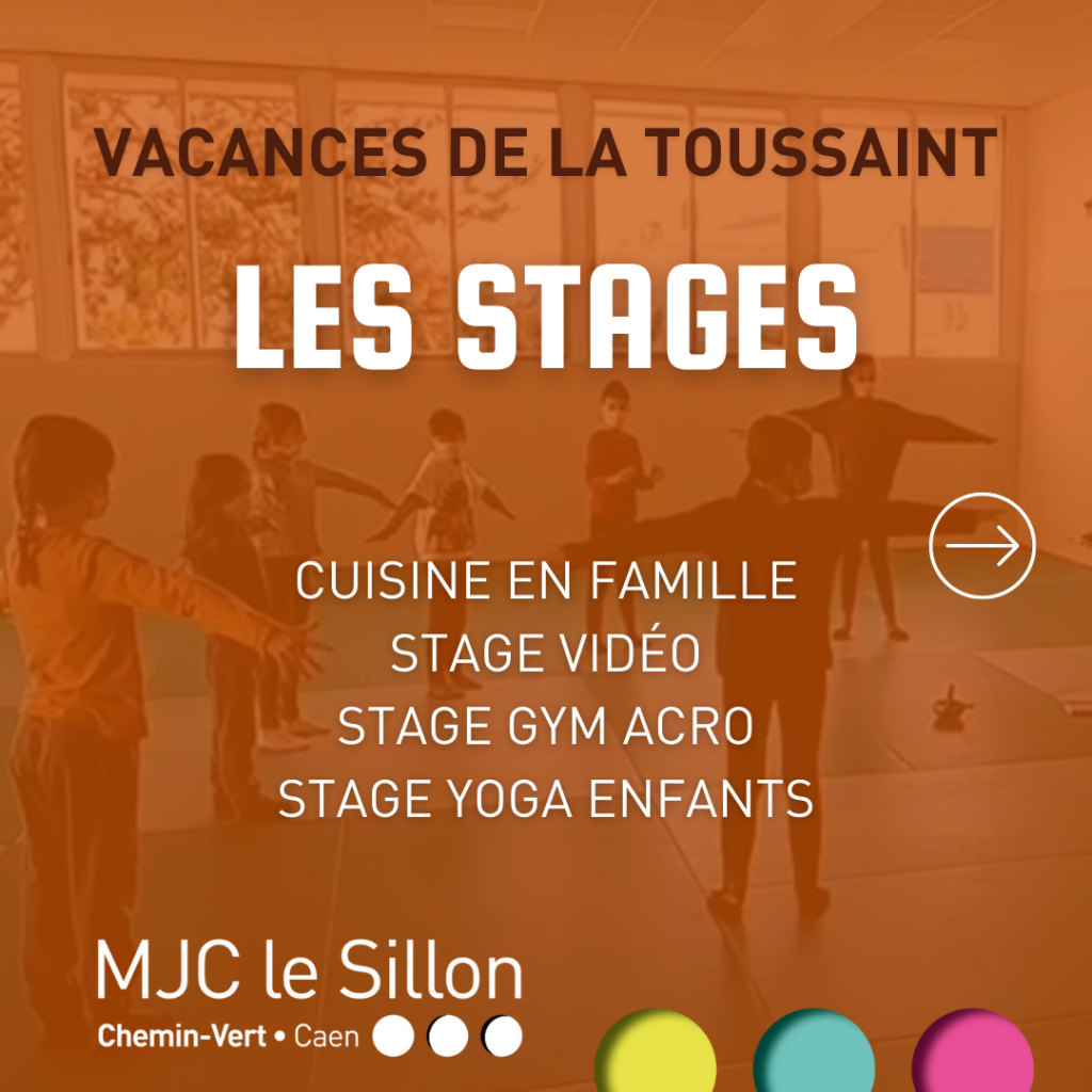 Découvrez les stages porposés à la MJC pendant les vacances de la toussaint : cuisine en famille, stage vidéo, gym acro et yoga enfants.